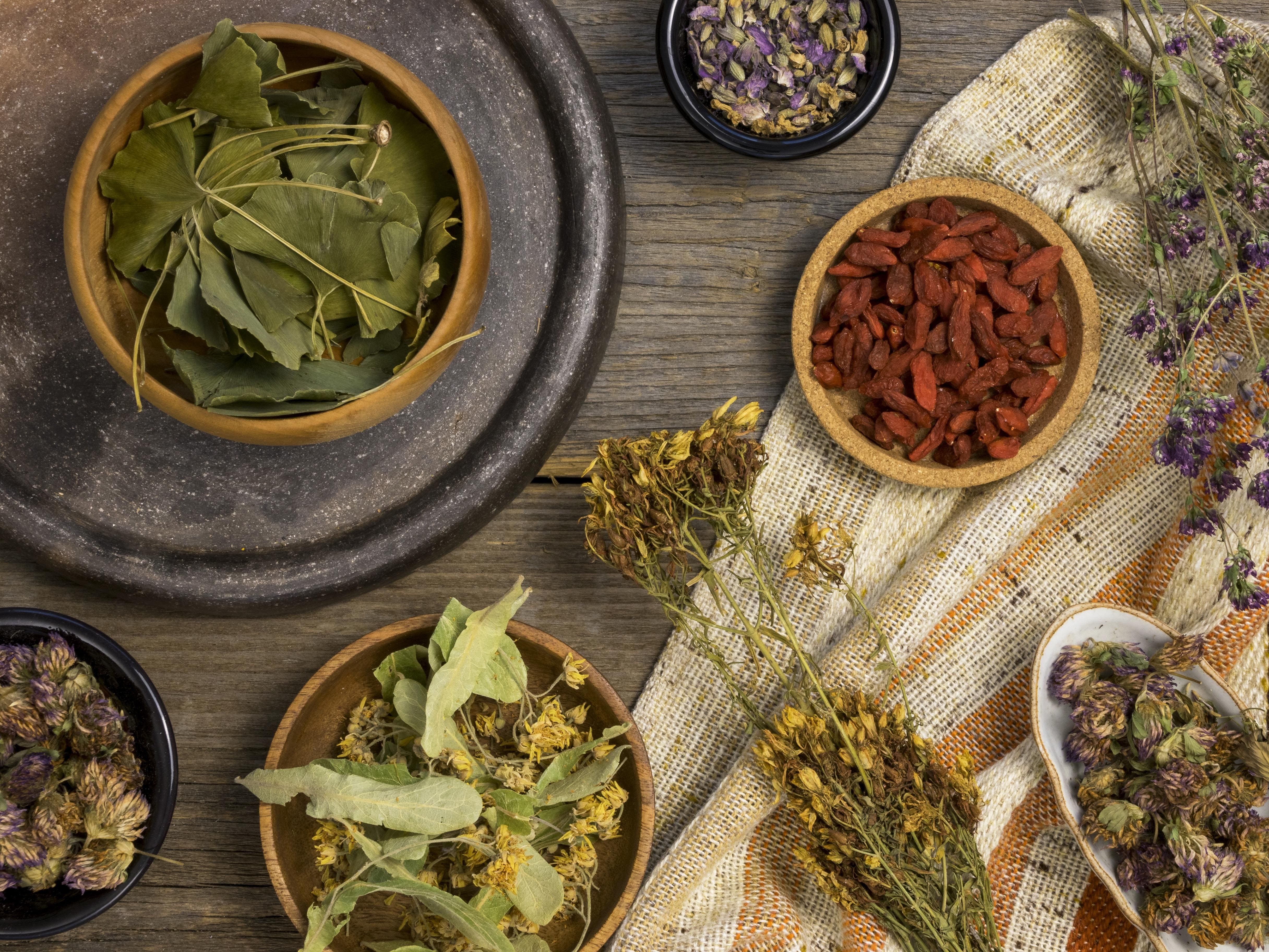Plantas medicinales más utilizadas para tratar la tos